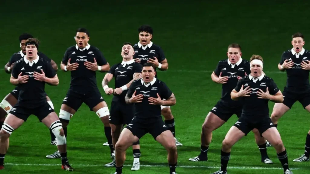 Trippant.com New Zealand Rugby Case Study